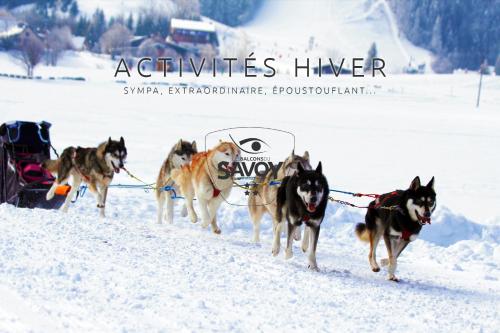 Les Balcons du Savoy photo 49