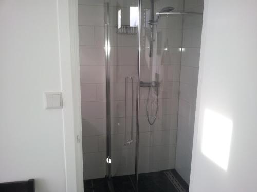 a shower with a glass door in a bathroom at Homestay Bij Aelita in Den Burg