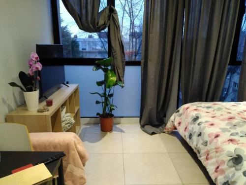 1 dormitorio con cama y ventana en Studio de l'orchidée, en Cachan