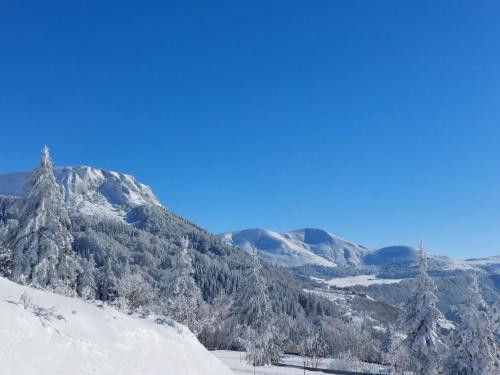 GITE LA LAUZERAIE – Photos 3