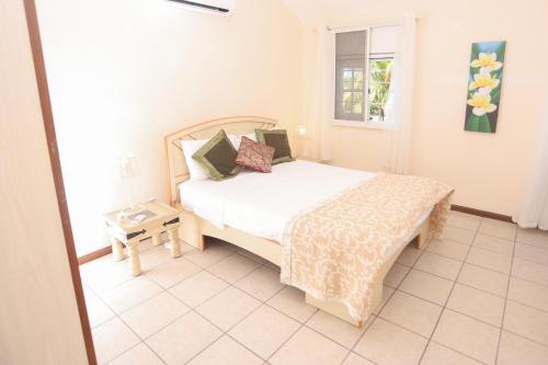 een slaapkamer met een bed en een raam bij Nirachel Ltd in Belle Mare