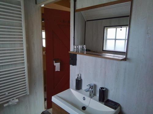 uma casa de banho com um lavatório e um espelho em vakantiewoning 't Bakhuus em Bergentheim