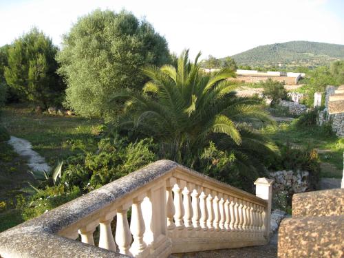 a stair case in a garden with a palm tree at Finca Sa Cova Vella in Manacor