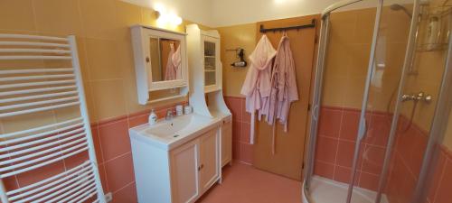 y baño con lavabo y ducha. en Villa Gejzir 34, en Karlovy Vary