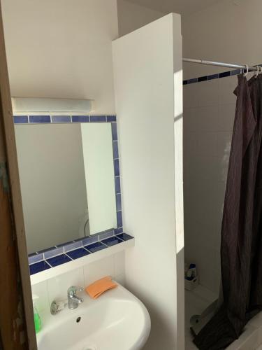 une salle de bain avec un lavabo et un miroir dans l'établissement #4 Toulon CENTRE, BALCON, VUE SUR CORNICHE, LUMINEUX, AU CALME, STATIONNEMENT FACILE & GRATUIT, à Toulon