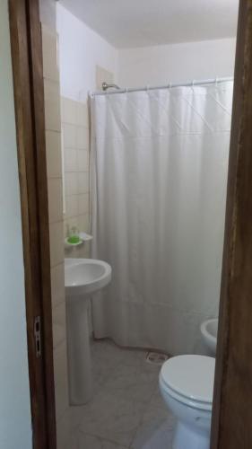a bathroom with a toilet and a sink and a shower at el remanso in San Agustín de Valle Fértil