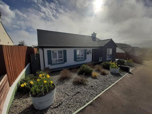 a house with some flowers in front of it at Number 14 in Downpatrick
