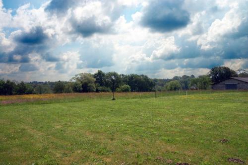 Un paisaje natural cerca del departamento