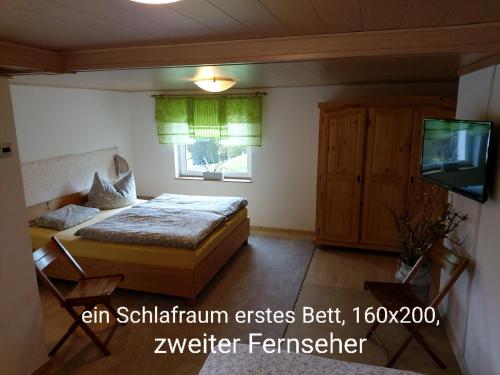 1 dormitorio con 1 cama y TV en Harzhexe1, en Güntersberge