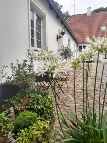 Zahrada ubytování Apartment in Danmark- Agernaesgaard Otterup
