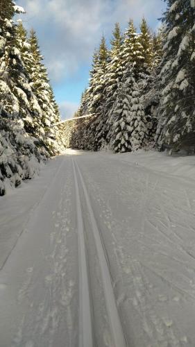 a snow covered road with ski tracks in the snow at Apartmány Brevant in Železná Ruda