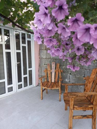 Fotografie z fotogalerie ubytování Apartments Stankovic & Boat tours v destinaci Virpazar