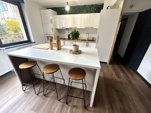 Kuchyň nebo kuchyňský kout v ubytování Le Puy en Velay - Appartement grand confort