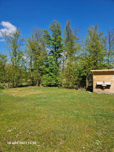 a park with a bench in a field at Camping Alkenhaer Appelscha Lege Kampeerplaats met Prive Sanitair in Appelscha
