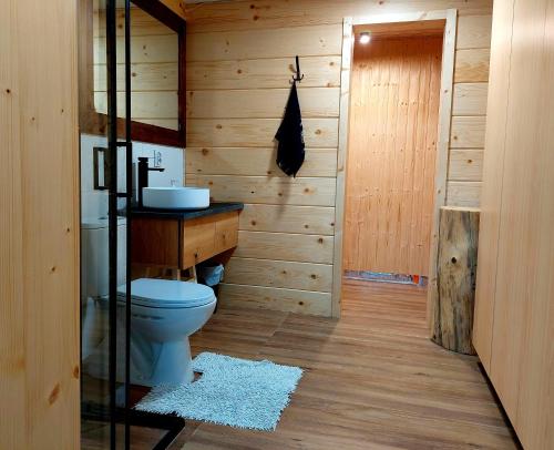 a bathroom with a toilet and a sink at Górska Przygoda in Koniaków