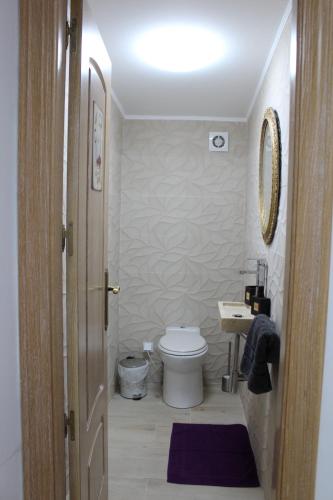 a bathroom with a toilet and a sink at Lua Bierzo in Molinaseca