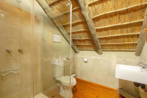 a bathroom with a toilet and a shower and a sink at Kudus Crest Bush Retreat in Marloth Park