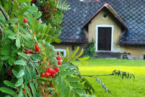 a house with a tree with red berries in front of it at Červený Stylový Apartmán 3 km od Malé Skály in Koberovy
