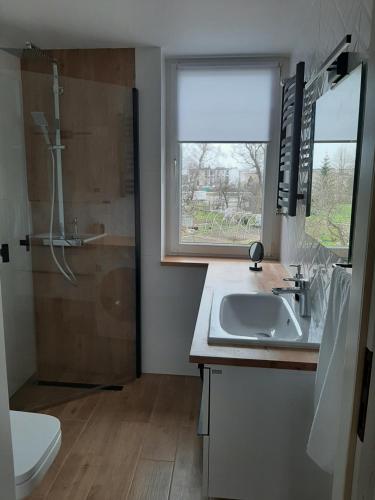 a bathroom with a sink and a shower with a window at Apartament – 3 pokojowe dwupoziomowe mieszkanie z ogrodem in Krokowa