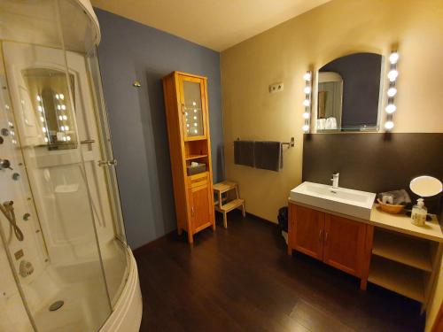 a bathroom with a sink and a shower at B&B Herberg Boerenhol DE MOTE BVBA in Poperinge