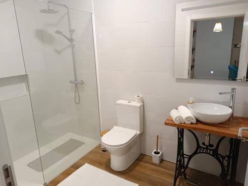 a bathroom with a toilet and a sink and a shower at Kings B&B Santa Cruz in Santa Cruz
