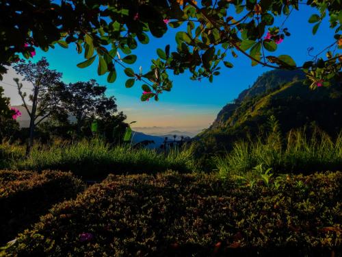 a view of the mountains from the garden at Ella Happy View Homestay in Ella