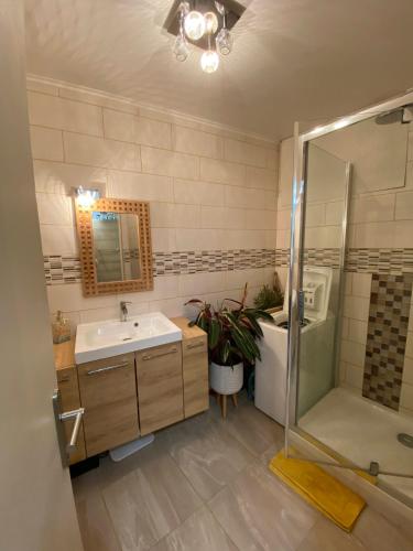 une salle de bain avec un lavabo et une douche dans l'établissement Chez Mathys, à Villeneuve-Loubet