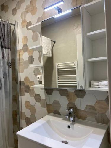 une salle de bain avec un lavabo, un miroir et une douche dans l'établissement Le Saint-Amour 2, à Saint-Amour