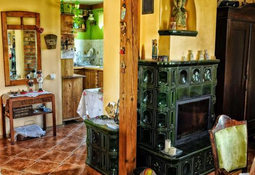 a living room with a fireplace and a stove at DOMEK LUBENIA in Lubenia