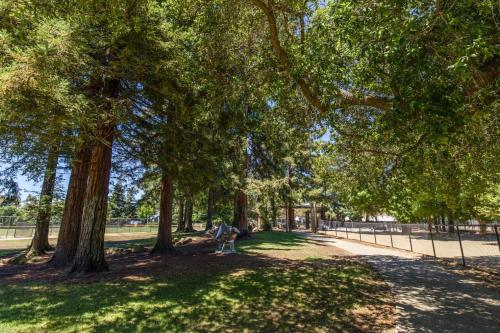 Fotografie z fotogalerie ubytování Palo Alto 1br w gym pool wd nr Stanford SFO-1295 v destinaci Palo Alto