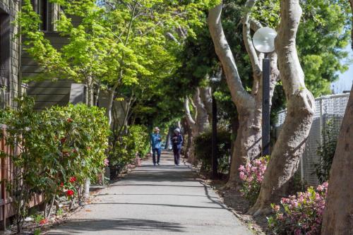 Fotografie z fotogalerie ubytování Palo Alto 1br w gym pool wd nr Stanford SFO-1295 v destinaci Palo Alto