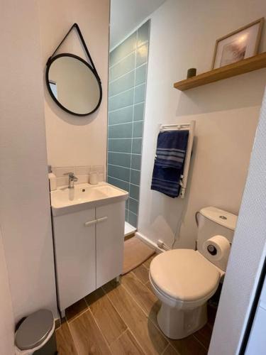 une salle de bain avec toilettes, lavabo et miroir dans l'établissement L'élégant du Grécourt, à Tours