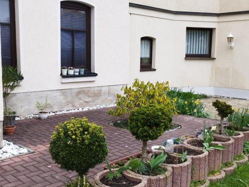einen Garten vor einem Haus mit Pflanzen in der Unterkunft Pension Stöß in Falkenstein