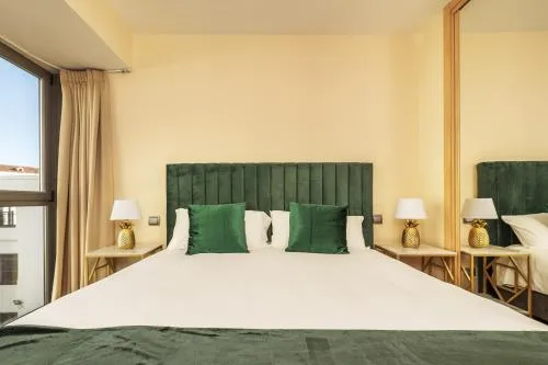 Luxury apartments in Barrio Palacio photo 13