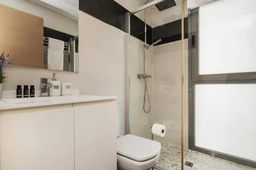 Luxury apartments in Barrio Palacio photo 17