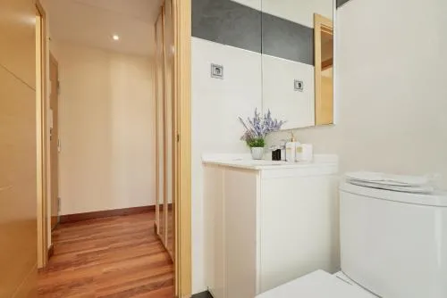 Luxury apartments in Barrio Palacio photo 16