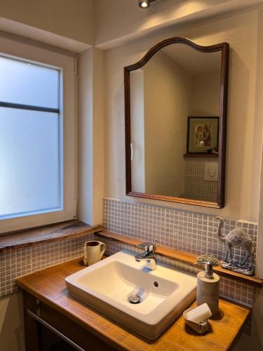 a bathroom with a sink and a mirror at Le Petit Cocon in Dambach-la-Ville