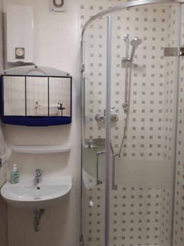 a bathroom with a shower and a sink at Ferienwohnung Sausen in Kröv