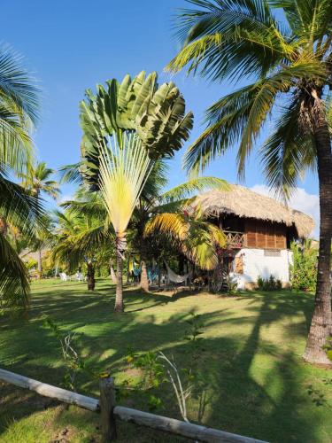 a resort with palm trees and a building at Cabana Ferrer in Notecebes