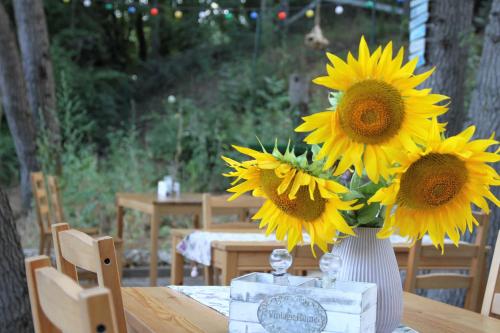 Gallery image of Sirena Holiday Park in Kamchia