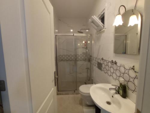 La salle de bains est pourvue d'une douche, de toilettes et d'un lavabo. dans l'établissement Sweet Home in Historical Area 3B, à Istanbul