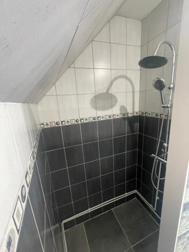 a bathroom with a shower with a tiled wall at L’escale proche château de chantilly in Précy-sur-Oise