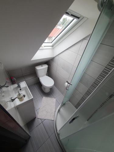 a bathroom with a shower and a toilet and a sink at LONDYNEK in Poronin