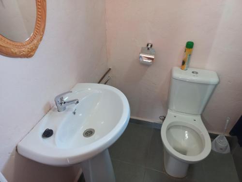 a bathroom with a white sink and a toilet at Sweetwaters Guest House in Estcourt