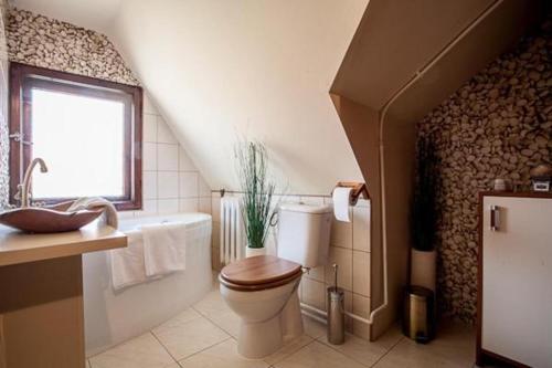 a bathroom with a toilet and a sink at Villa Cztery Strony Świata in Zakopane