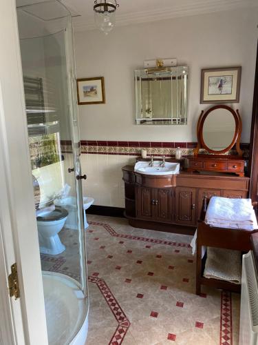 y baño con ducha, lavabo y aseo. en Charming 3-Bed Victorian Villa House in New Ross en New Ross