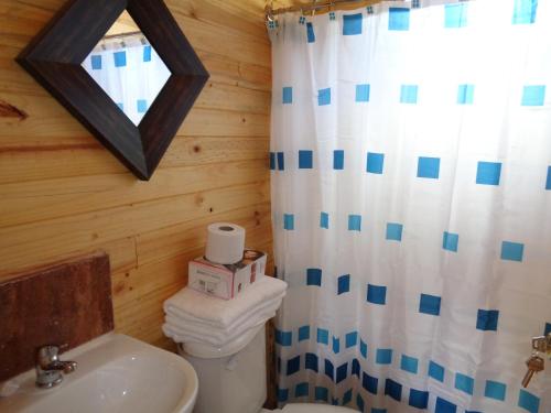 a bathroom with a toilet and a sink at Cabañas de la Laguna in Parral