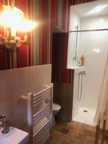 een badkamer met een douche, een wastafel en een toilet bij Abbaye de Saint Jean de Bonneval in Saint-Jean-de-Thouars