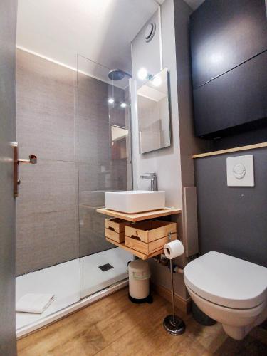 une salle de bain avec une douche, des toilettes et un lavabo dans l'établissement Portes de la vieille ville, à Annecy