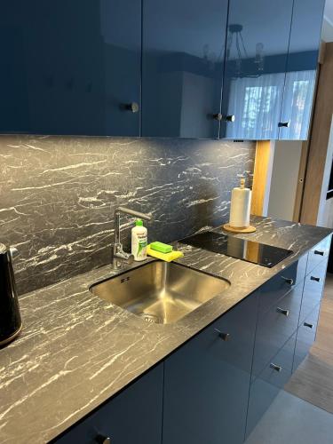 eine Küche mit einer Spüle aus Edelstahl und blauen Schränken in der Unterkunft Lazurowy Apartament in Łeba